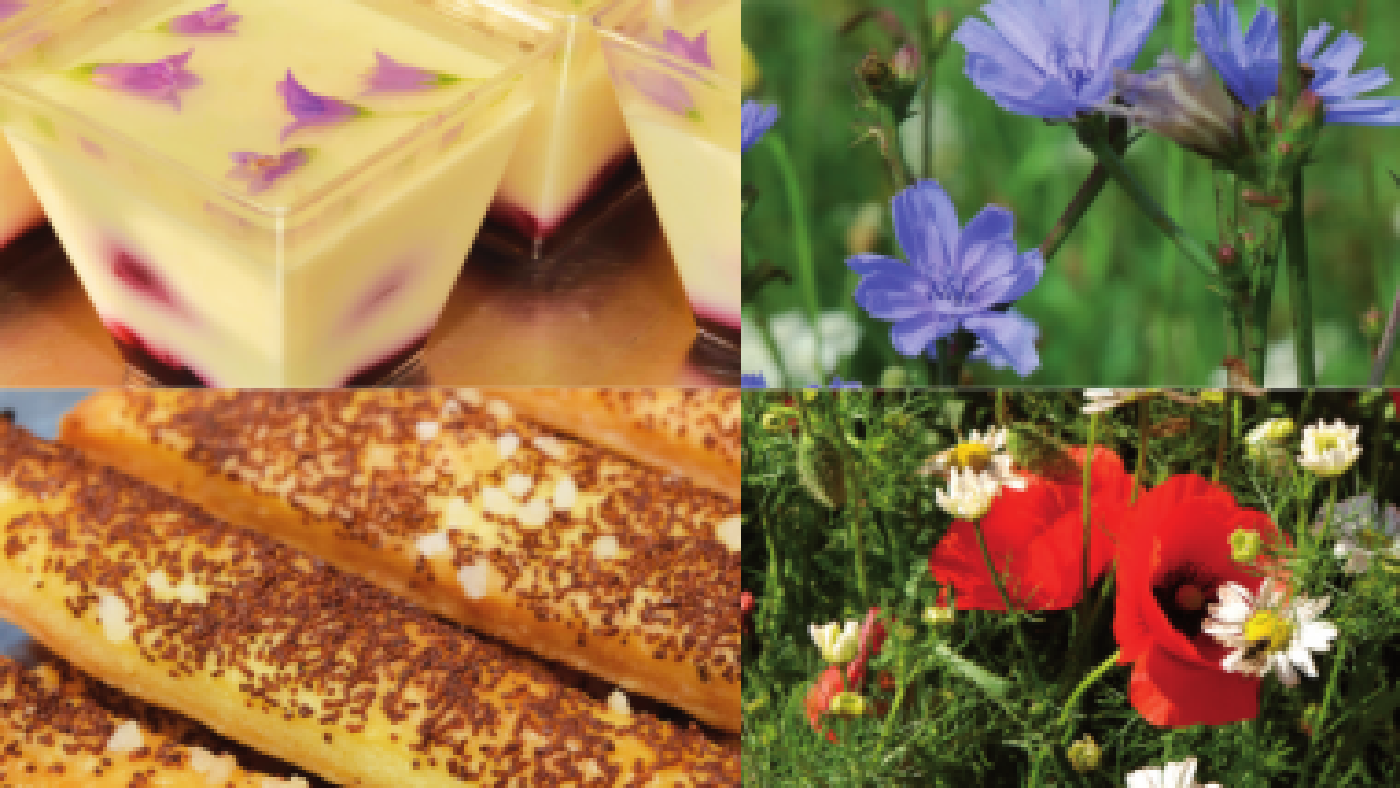 Vaříme z plevele s ochutnávkou čerstvých bylin